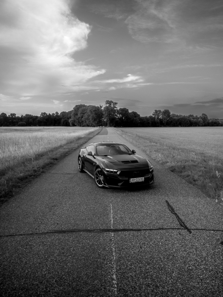 Ford Mustang Dark Horse